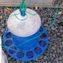 Hen starter kit Image 4
