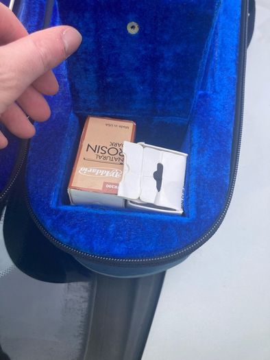 violin