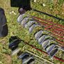 Ladies or mens golf clubs Image 5