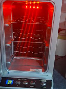 Small Fridge Wine Cooler Working Condition Postage Available,