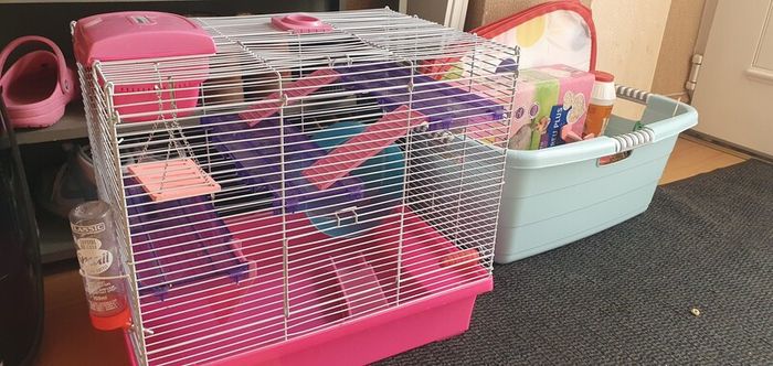 Free Hamster cage and Accessories