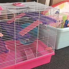 Free Hamster cage and Accessories