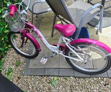 Girls 20 inch kids bike