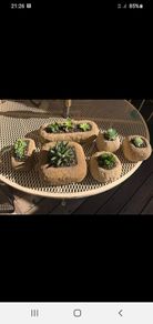 Stone Troughs.a