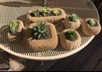 Stone Troughs.a