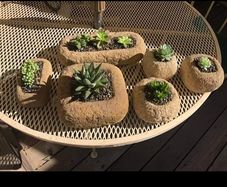 Stone Troughs.a