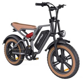 Happyrun G60 Electric Bike