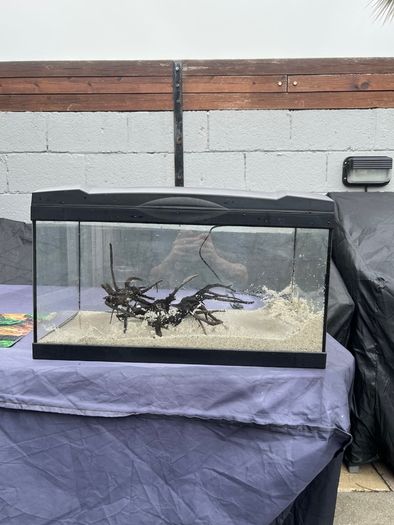 50L Tank W/ Filter & Heater