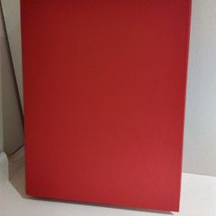 2 Ring Binder A4