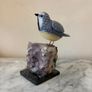 Hand-Carved Blue Tit on Raw Amethyst Cluster Base Image 3