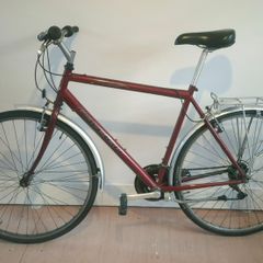 Men city bike Raleigh Pioneer M/L