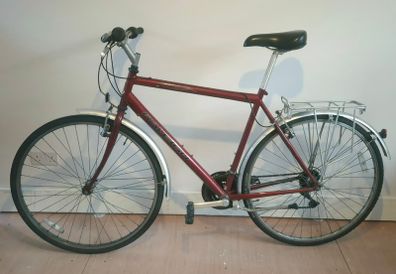 Men city bike Raleigh Pioneer M/L