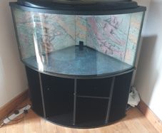 Fish tank