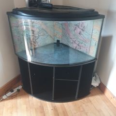 Fish tank