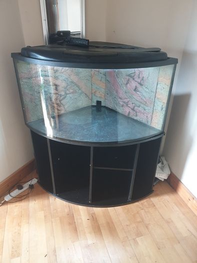 Fish tank