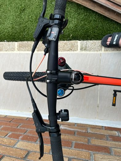 Frog Mountain Bike