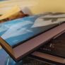 1st edition,hardback,John McGahern/That They May Face The Rising Sun Image 4