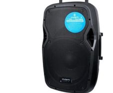 Guitar Portable bluetooth Trolley Speaker 800 watts