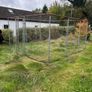 dog run Image 2
