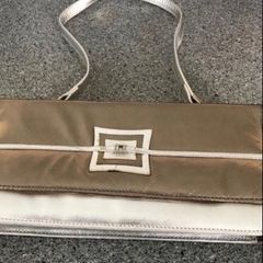 Ladies sliver bag