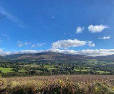 Site for sale Borris/Rathanna co Carlow