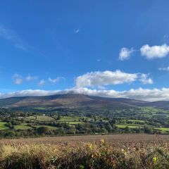 Site for sale Borris/Rathanna co Carlow