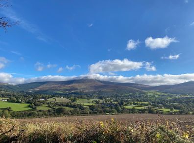 Site for sale Borris/Rathanna co Carlow