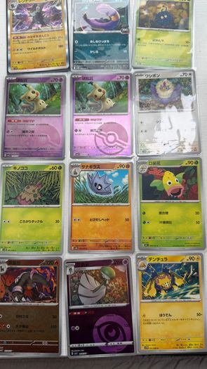 Pokemon Cards Sir, Japanese, Ir