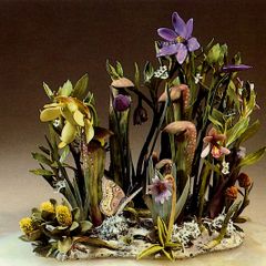 Postcard of Botanical Sculpture