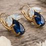 Crystal Earrings Image 4