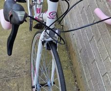 adult Bike  lady's bike road bike