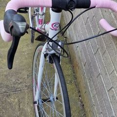 adult Bike  lady's bike road bike