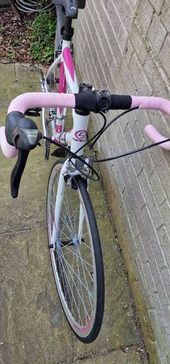adult Bike  lady's bike road bike