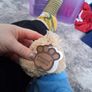 KLM airline bear Image 3
