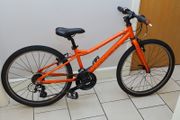 Carrera Abyss 24 inches Bike