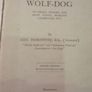 The Alsatian Wolf Dog Image 4