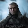 Witcher Gearalt 1/6 (Hot Toys scale) Image 4