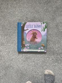 "Time To Go Home Little Bunny "
