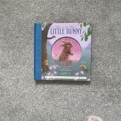 "Time To Go Home Little Bunny "