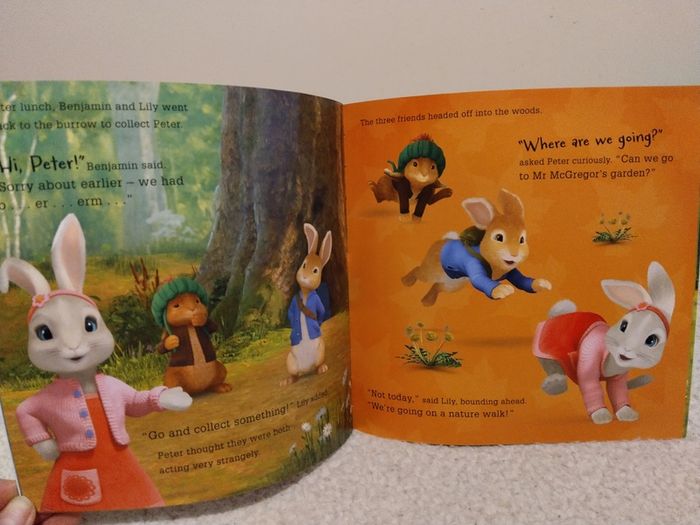 Peter Rabbit, Happy Birthday, Peter story book