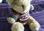The Bear Collection - Backpacking Travel Bear