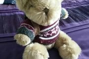 The Bear Collection - Backpacking Travel Bear