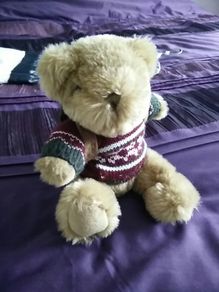 The Bear Collection - Backpacking Travel Bear