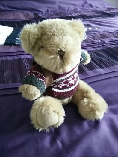 The Bear Collection - Backpacking Travel Bear