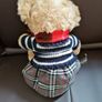 Teddy Bear Image 3
