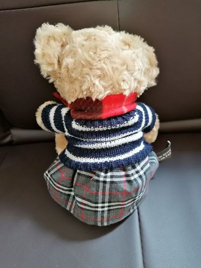 Teddy Bear