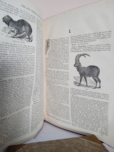 The New Century Encyclopaedia: Historical, Geographical, Biographical, and Scientific Information, Trade Statistics, Populations etc., Edited by R. W. Egerton Eastwick (Vols 6,7,8,9 &10) (PT261)