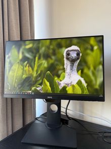 BenQ Monitor