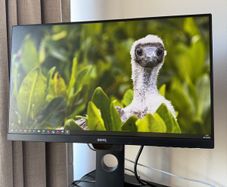 BenQ Monitor