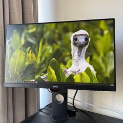 BenQ Monitor